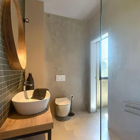 Villa Sendi Comfortable Vižinada